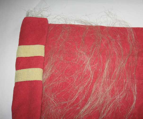 flax in towel for spinning